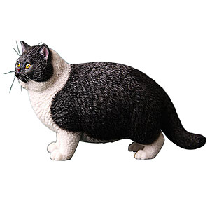 1/6 デブ猫 F[JXKスタジオ]《在庫切れ》