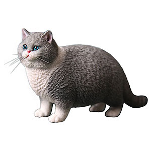 1/6 デブ猫 F[JXKスタジオ]《在庫切れ》