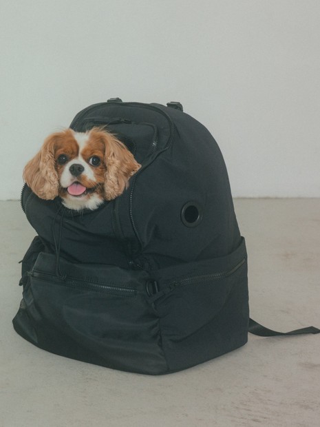 MATIE/ペットリュックL【Direction by 有末 麻祐子】｜MATIE / メイティ