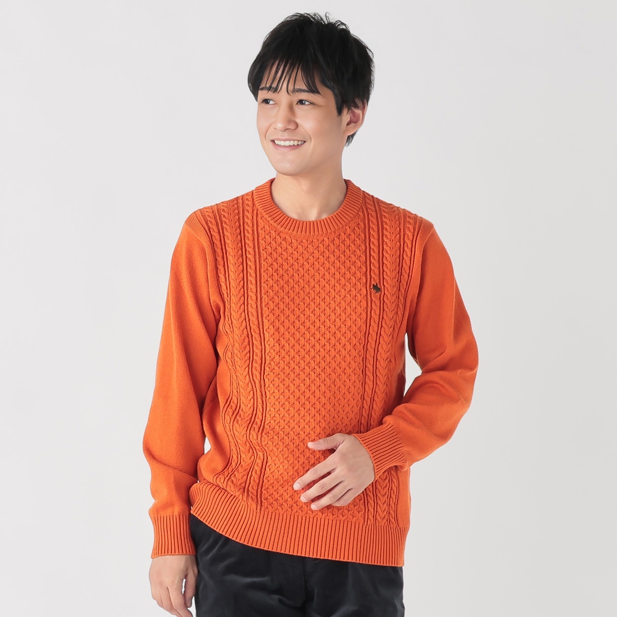 POLO BCS フィッシャーマンセーター メンズ | イオンスタイル