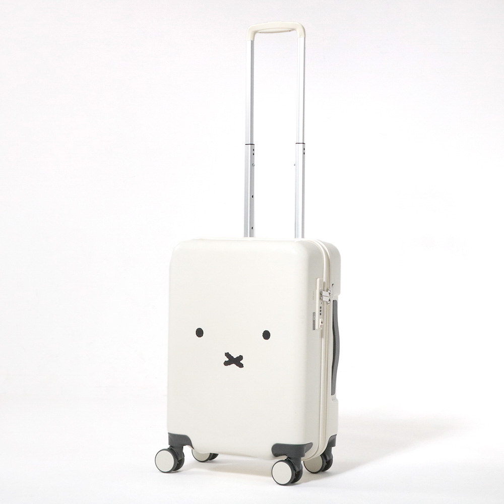 ミッフィーフェイスデザイン Sサイズ ジッパーキャリー | イオン
