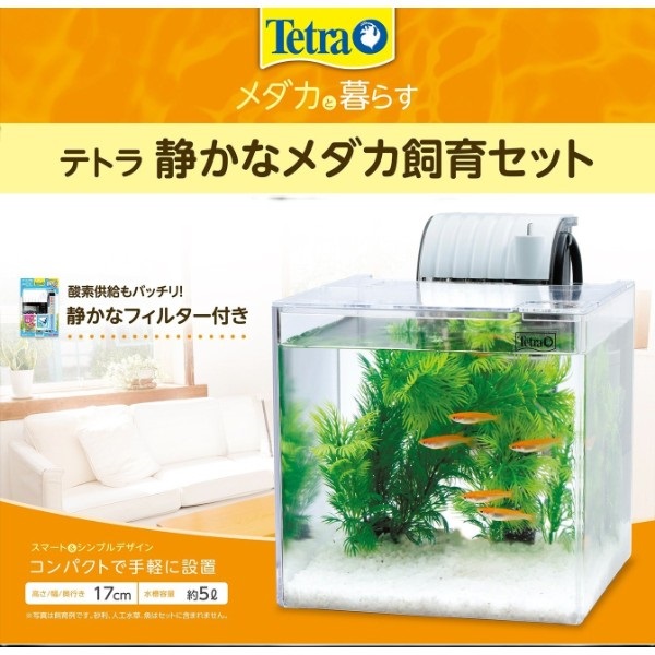 テトラ 静かなメダカ飼育セット SF‐17KF 1セット Tetra スペクトラム