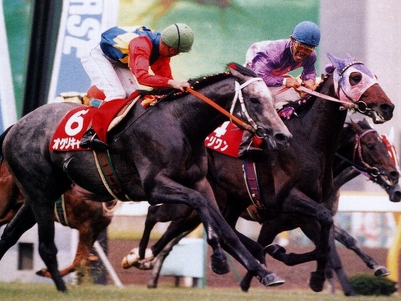 新品】競馬 平成三強(オグリキャップ/スーパークリーク/イナリワン)の