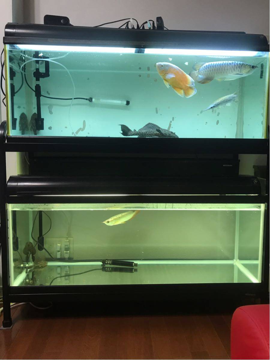 KOTOBUKI 120㎝アクリル水槽フルセット 【公式通販】