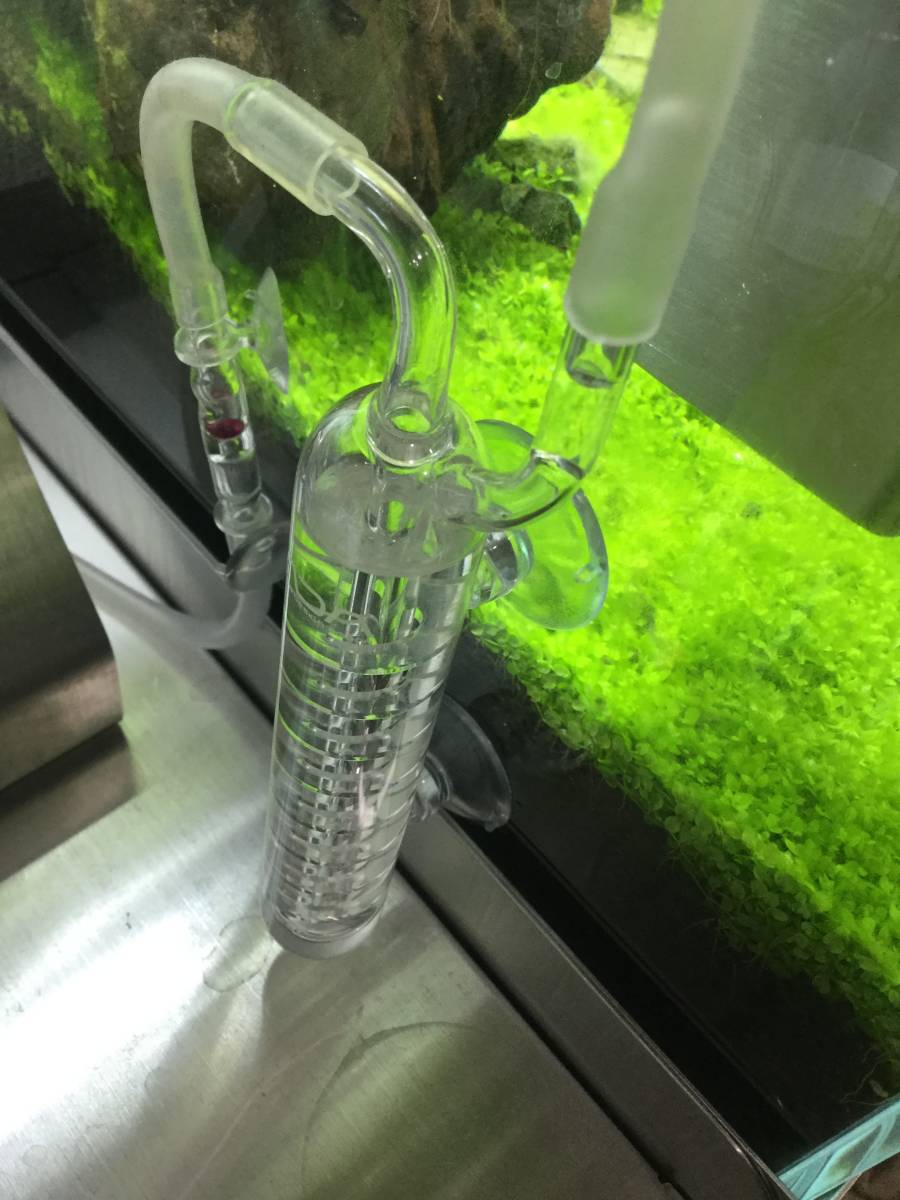 ADA CO2 ビートルカウンター カボーションルビー パレングラス セット