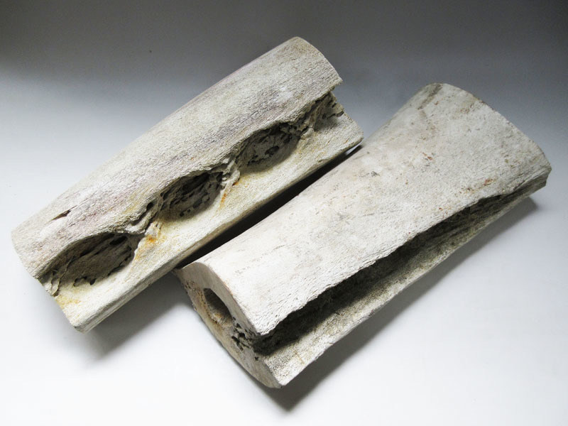 1965年希少南氷洋マッコウクジラの鯨骨刀約95cm 1965年希少南氷洋