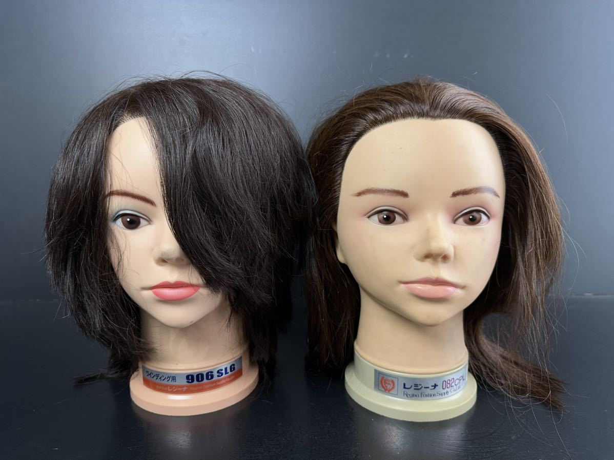 国家試験用 三矢 24-12-13 カットウィッグ4個セット カットウィッグ