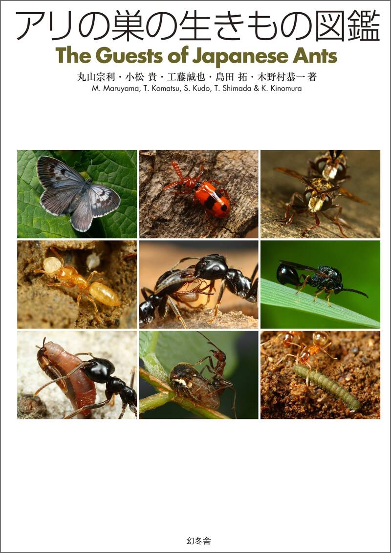 アリの巣の生きもの図鑑』丸山宗利／工藤誠也／木野村恭一／島田拓