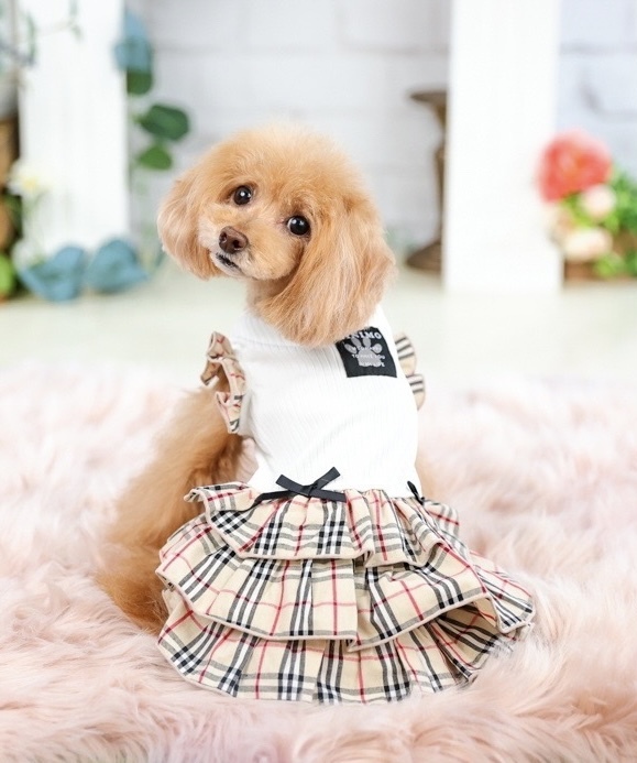 MI2302フリルチェックワンピース 犬 犬服 春夏 いぬの服 犬の服 春 夏