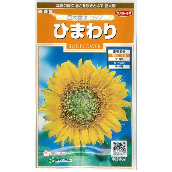 ひまわり ページ ひまわりさま専用 ひまわり専用 ひまわり専用