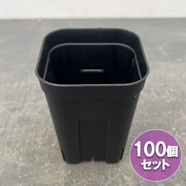 園芸ネット本店｜プレステラ105型 深鉢 ブラック 100個セット の通販