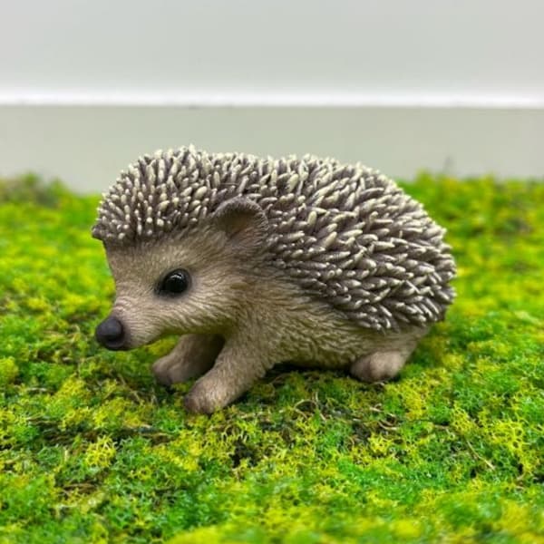 園芸ネット本店｜WooBia：ハリネズミの赤ちゃん（H20525-P） の通販