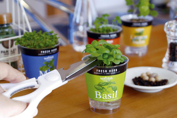 園芸ネット本店｜フレッシュハーブ4種栽培セット の通販【公式】