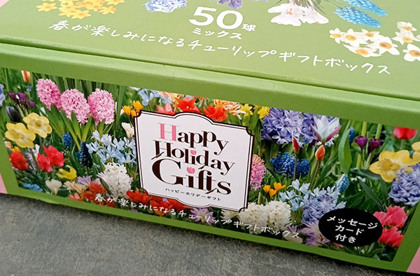 園芸ネット本店｜球根セット：球根ギフトボックス 約50球入り の通販