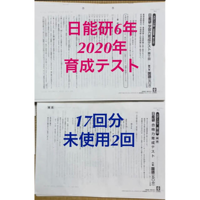 日能研 6年生前期 育成テスト 全17回分 最新版】2025年度日能研6年