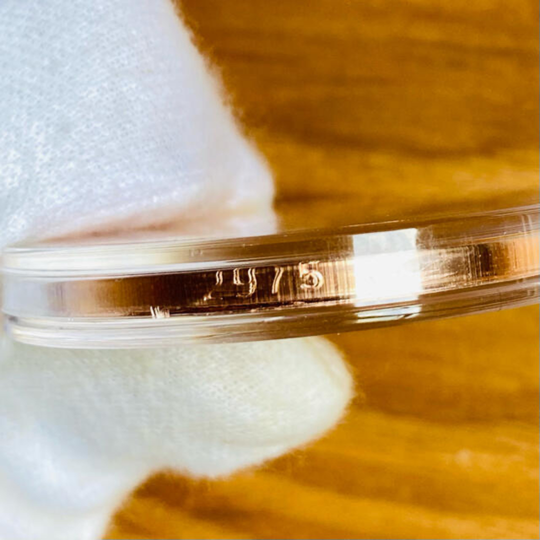 トランプ大統領 1オンス 銀貨 銃規制 銅貨セット