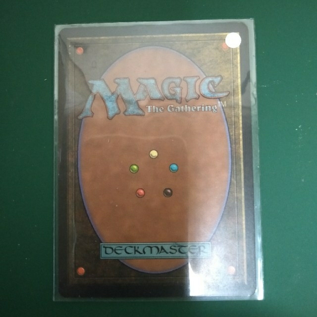 MTG 直観 日本語