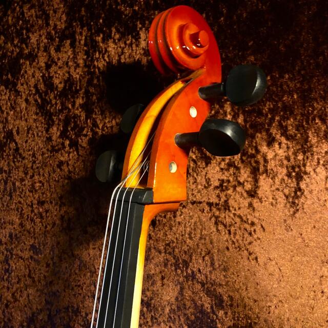 チェロ Altezza アルテッツァ No.45 4/4 他分数 新品の通販 by Suba