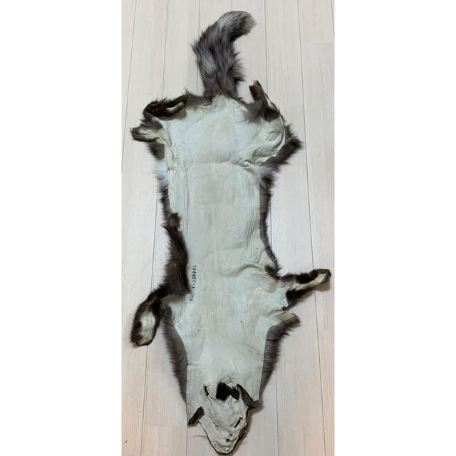 ブルーフロストフォックス キツネ 原皮 リアルファー ラグ 敷物 素材