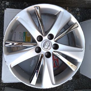 1516042329.jpg?1647988743