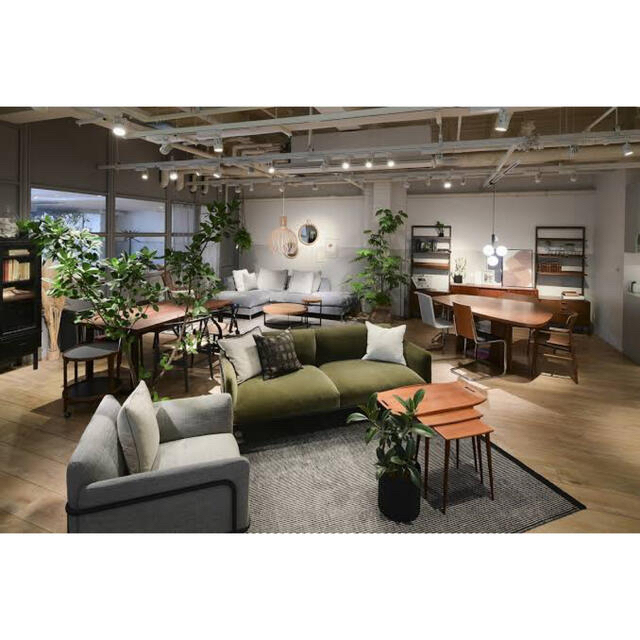 ACTUS - 首都圏送料込み〜Slowhouse20万ハワイアンフェザーコーナー