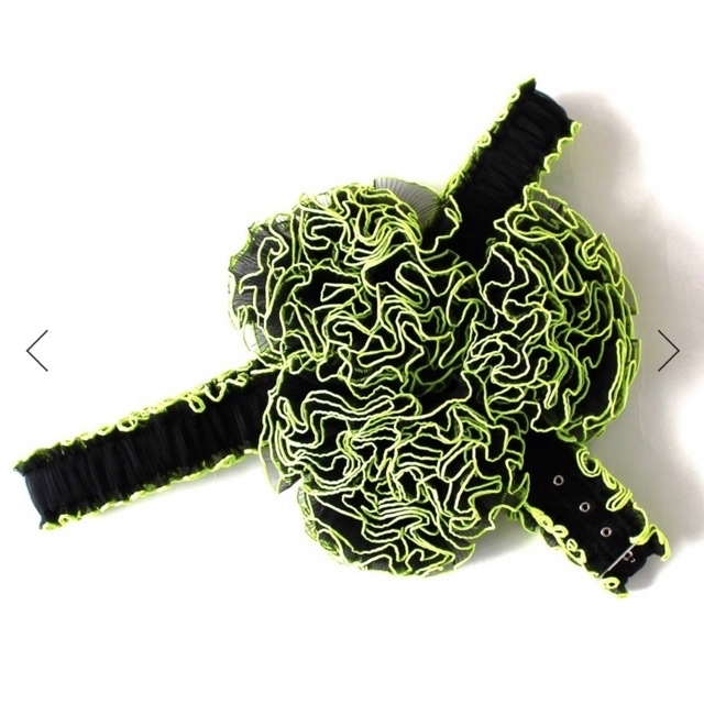 noir kei ninomiya - noir kei ninomiya エステルオーガンジープリーツ