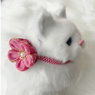 1783935812.jpg?1690029829