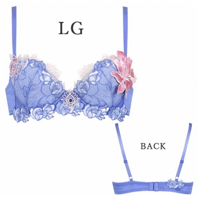 Wacoal - ワコール☆サルート76グループプッシュアップブラジャー