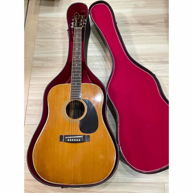 Pro Martin プロマーティン W-350 アコースティックギター