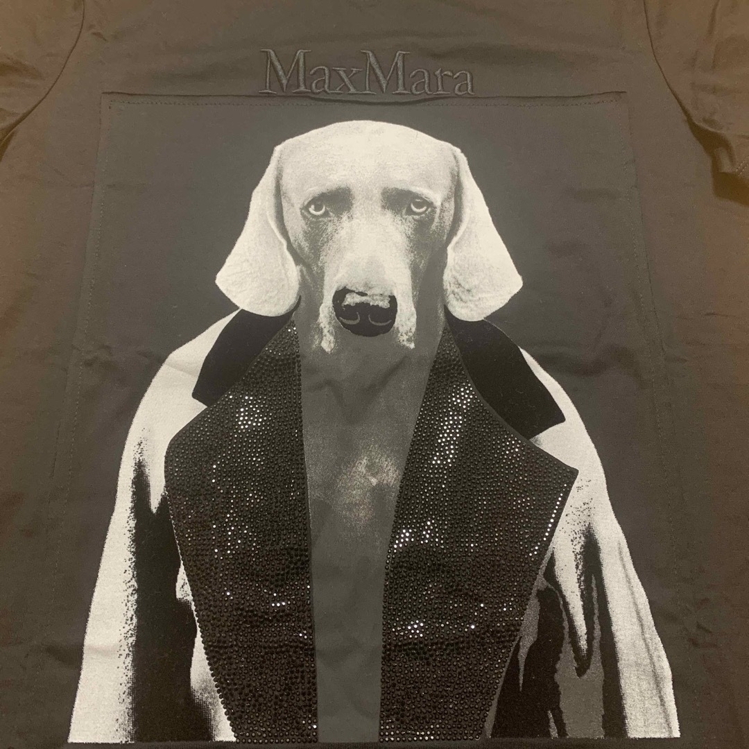 Max Mara - 滝沢眞紀子さん着用 マックスマーラー ドックTシャツ Sの