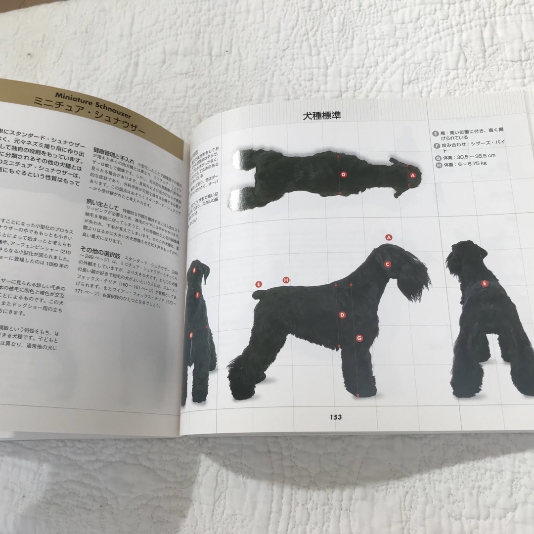 360°ビジュアル犬種大図鑑 世界の最新人気犬種のスタンダ－ドが