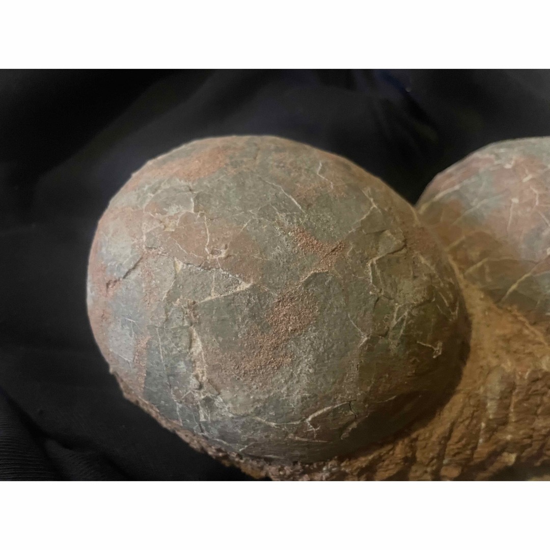 入手困難】恐竜の卵の化石 ハドロサウルスの卵化石の通販 by