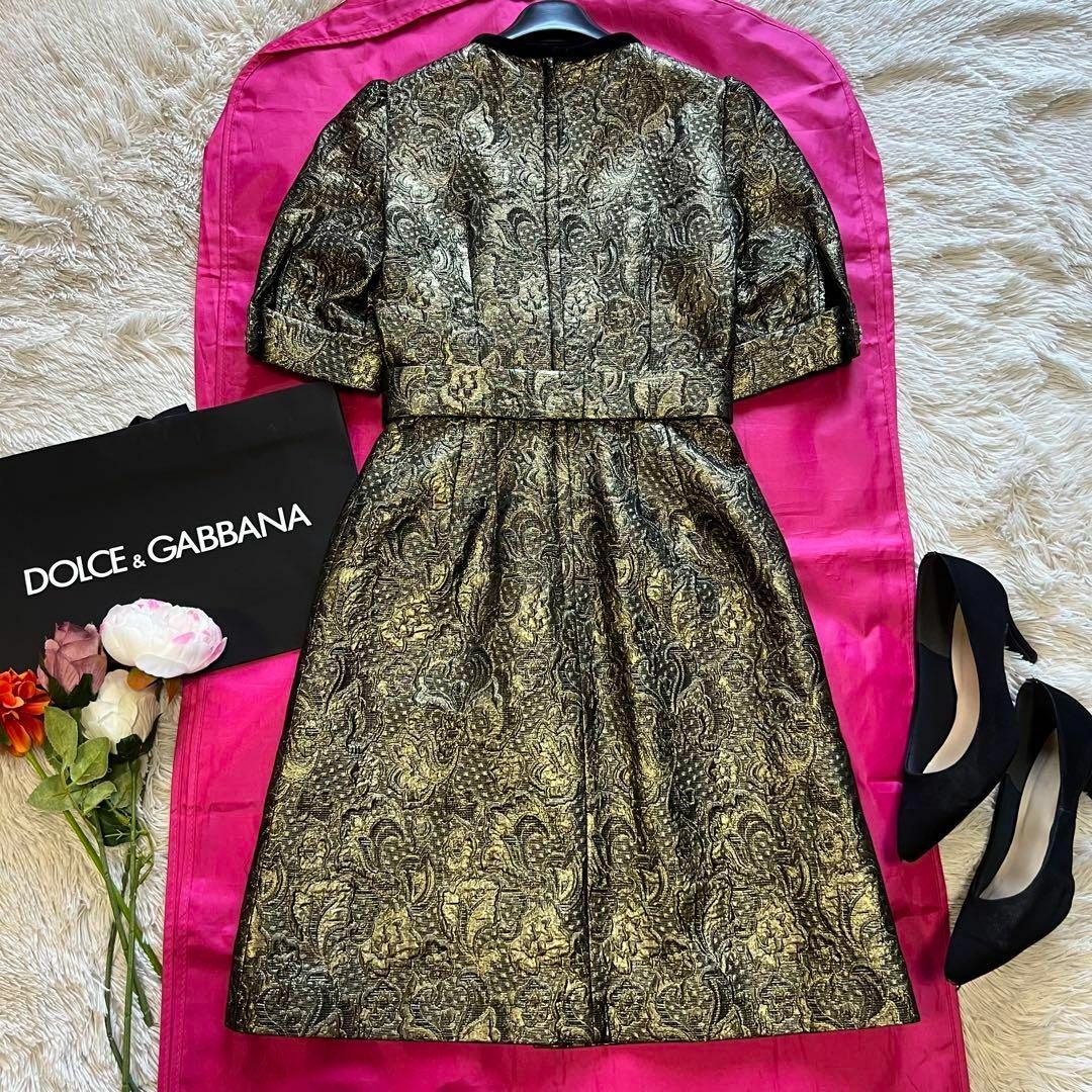 DOLCE&GABBANA - 【未使用タグ付き】DOLCE&GABBANA ジャガード