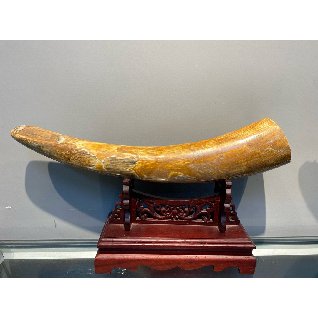 天然マンモス牙美しい手作り彫刻 1マンモス牙·原皮素 置物の通販 by