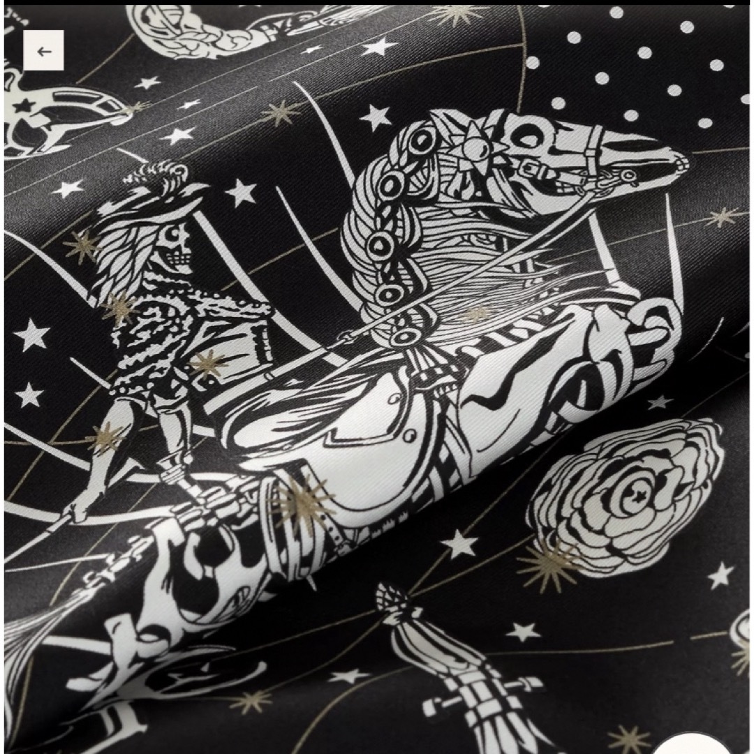 HERMES - 新品未使用 HERMES 2023AW コーラスステラルム シルク