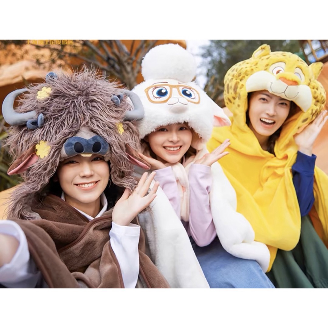 Disney - 【現地購入☆正規品】クロウハウザー 帽子付ブランケット