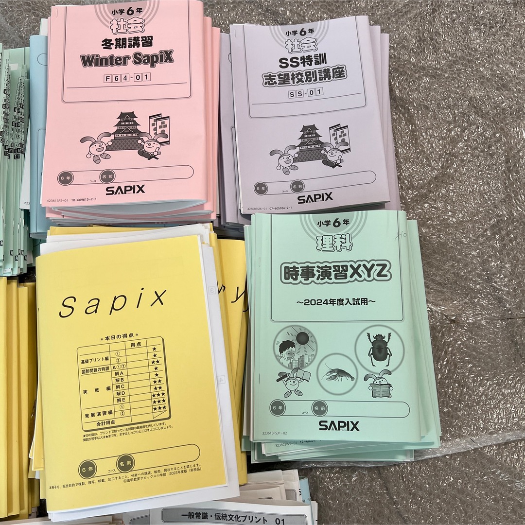 sapix 1年生算数と国語のテキスト(サピックス夏期講習テキスト) 【公式