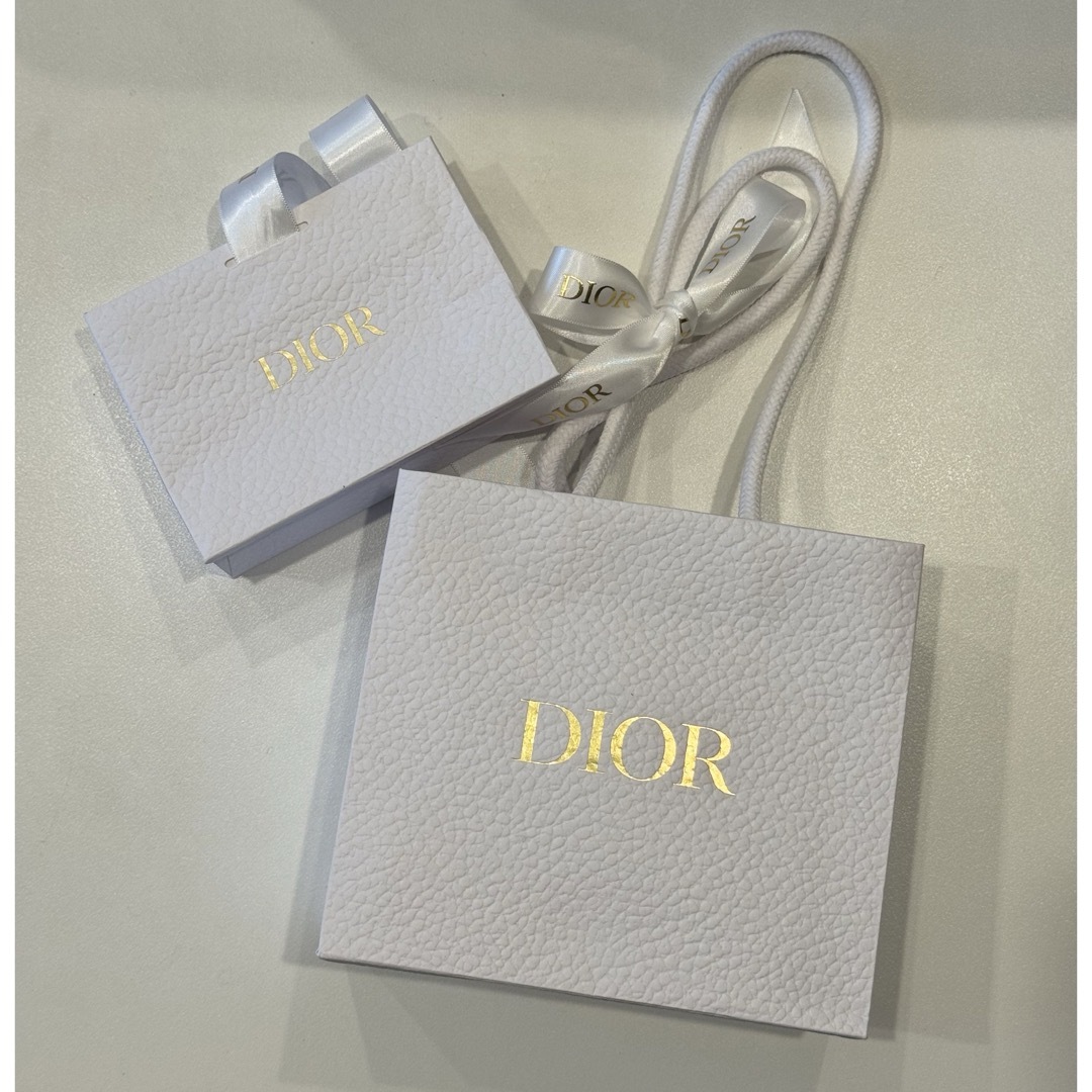 Dior リボン付きショップ袋 2サイズセット Christian Dior - DIOR