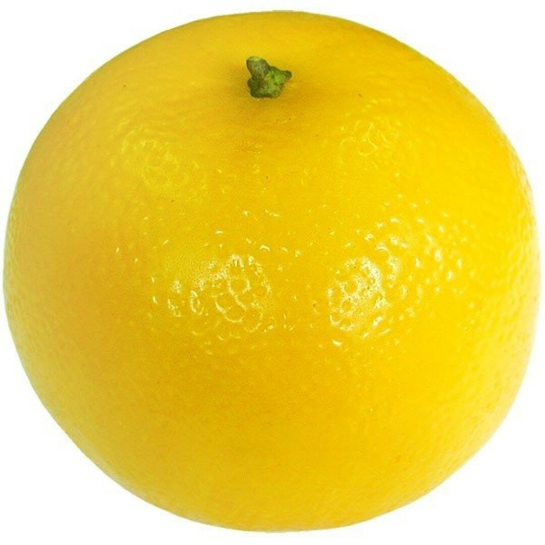 ゆずみかんさん、専用です。 【公式通販】