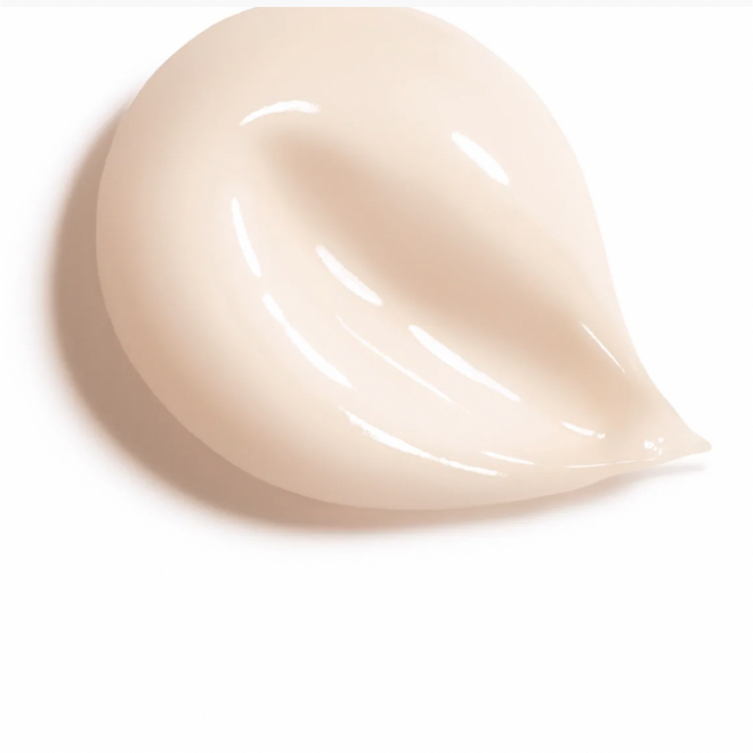 CHANEL - 新品未使用 CHANEL シャネル ガブリエルシャネル ボディ