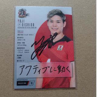 2368880647.jpg?1725874117