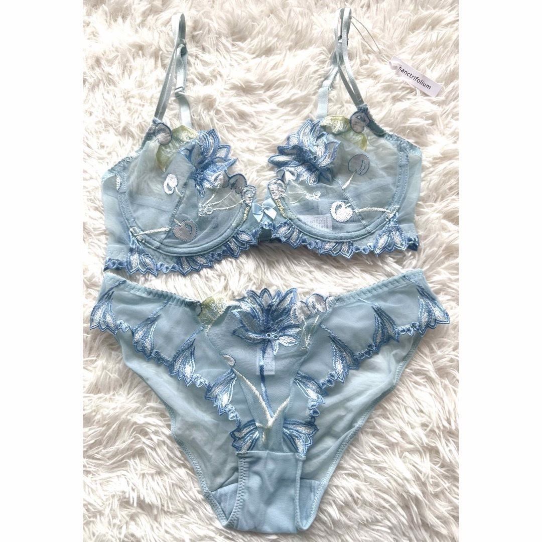 ✨大特価✨ブラジャー ショーツセット セクシー シースルー 花柄刺繍