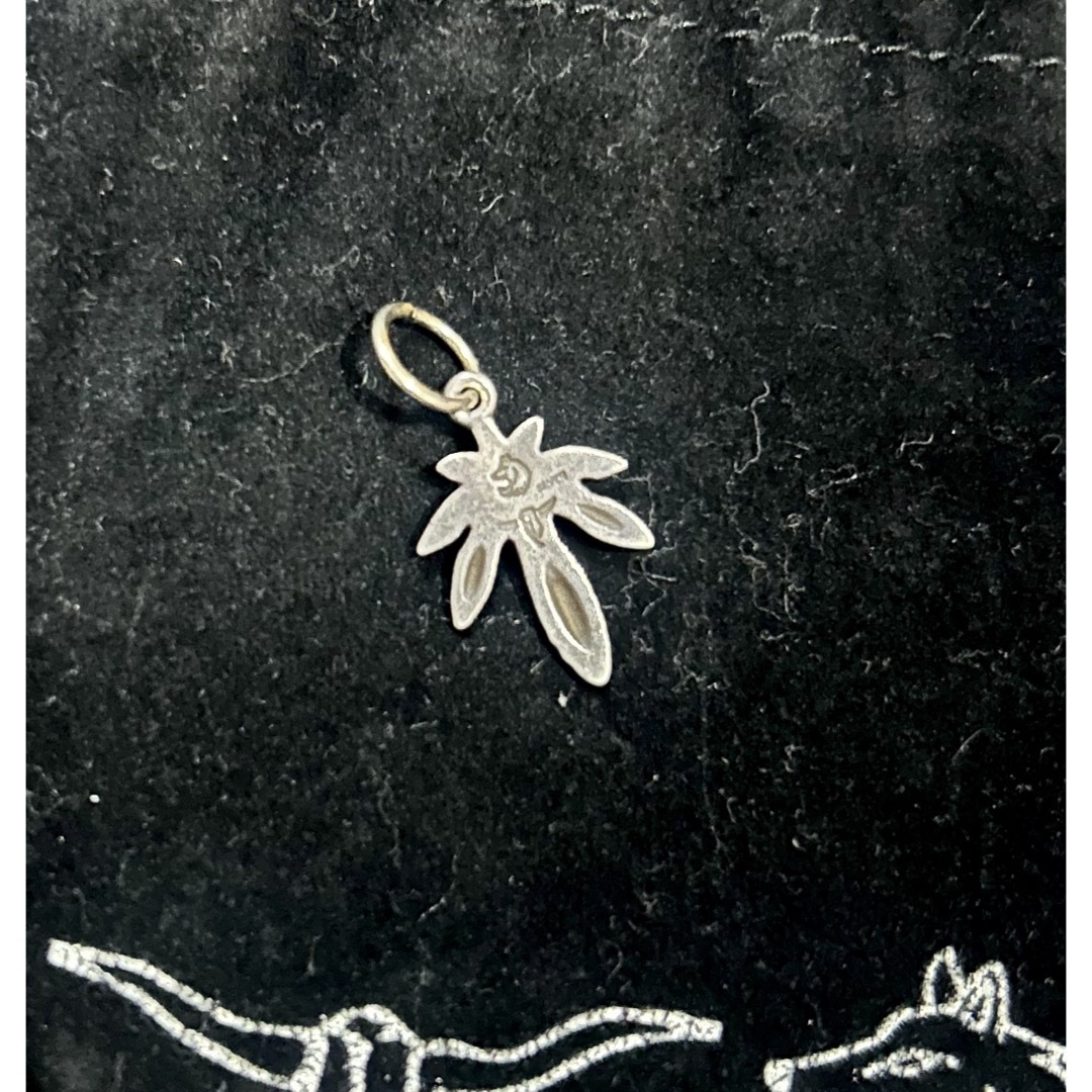 最終値下げ！TADY&KING タディ キング