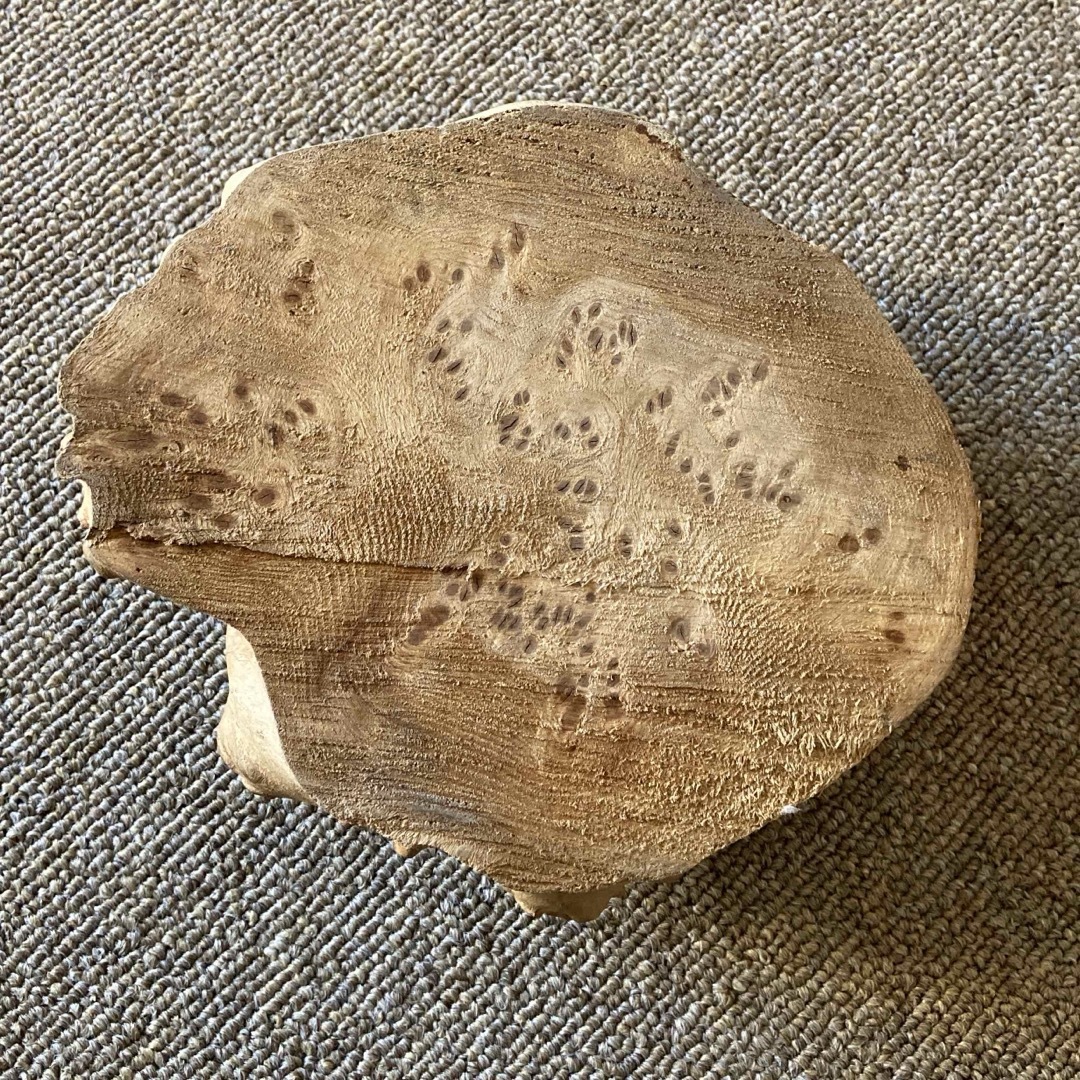 瘤のオブジェ・木製・無垢・天然木・切り株・飛騨産 瘤のオブジェ