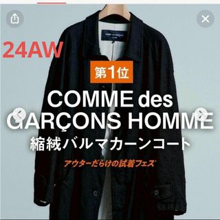 2443945151.jpg?1735524316