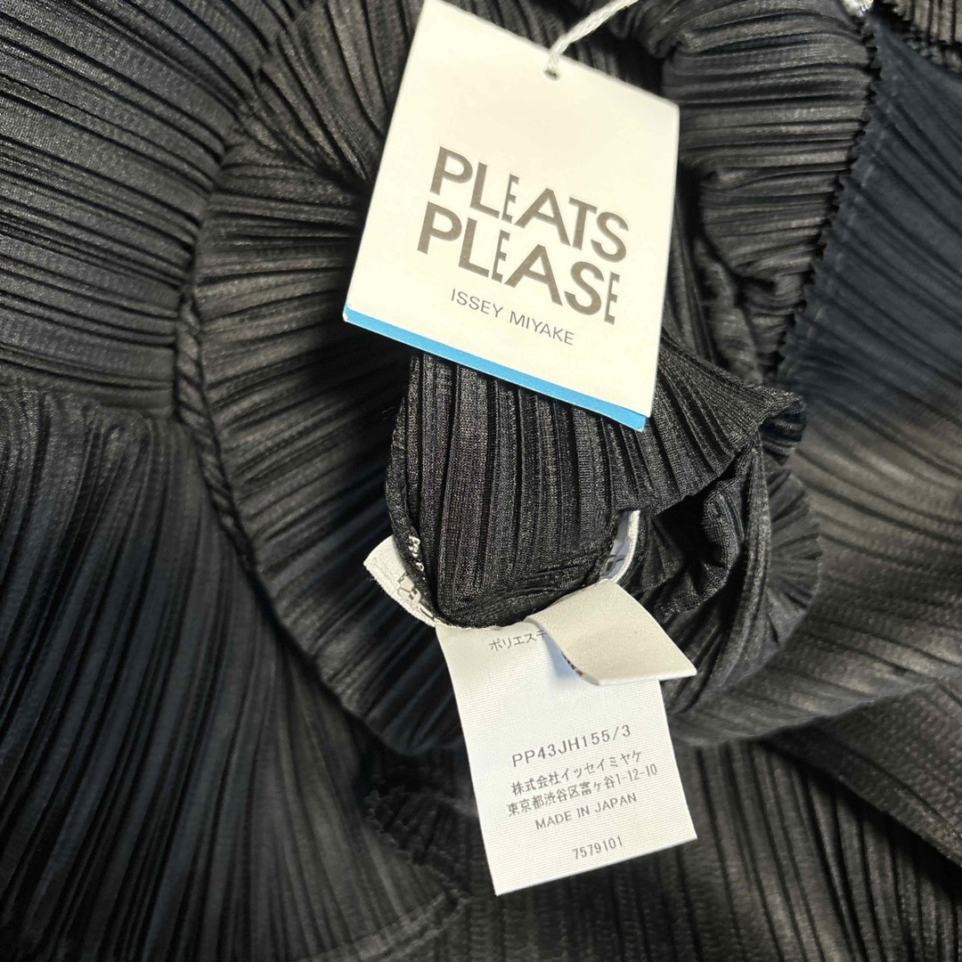 PLEATS PLEASE ISSEY MIYAKE - プリーツプリーズMONTHLY 11月: BLACK