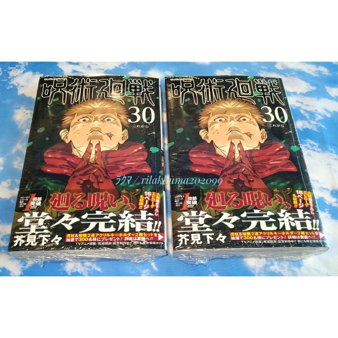 呪術廻戦 - 初版 匿名配送 呪術廻戦 コミックス 30巻 最終巻 2冊セット