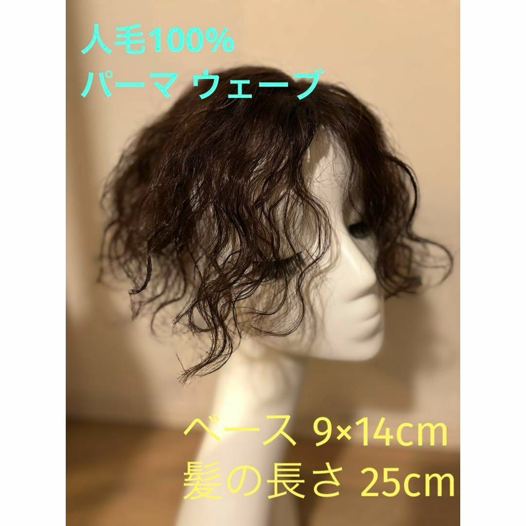 人毛100% パーマ ウエーブ ヘアピース 人工スキン 部分ウイッグ ブラウン