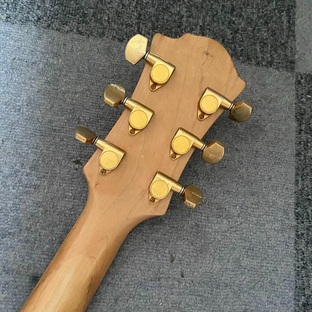 ターゲットフェルナンデス！hideモデルカラーモッキンバードサイケ