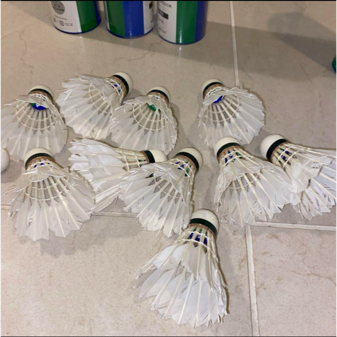 ニューオフィシャル 中古シャトル 基礎、ノック用